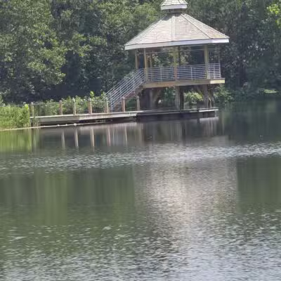 Lake Artemesia Natural Area - College Park, MD