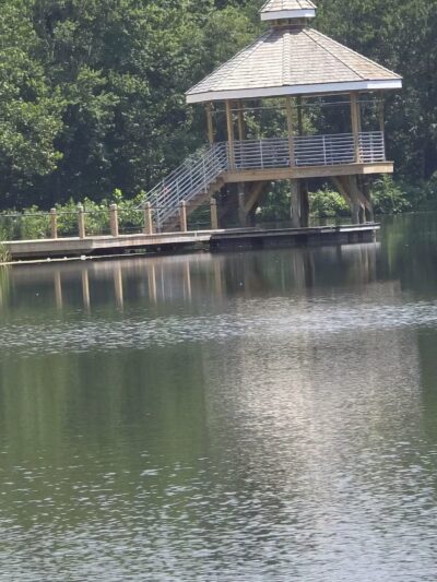 Lake Artemesia Natural Area - College Park, MD