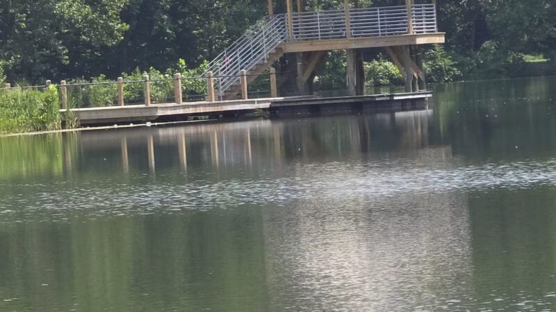 Lake Artemesia Natural Area - College Park, MD