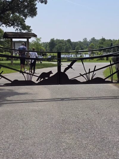 Lake Artemesia Natural Area - College Park, MD