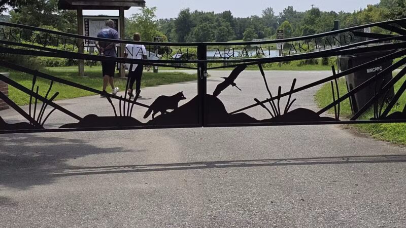 Lake Artemesia Natural Area - College Park, MD