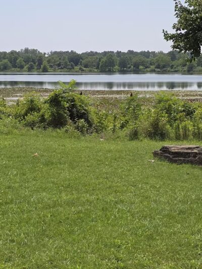 Lake Artemesia Natural Area - College Park, MD