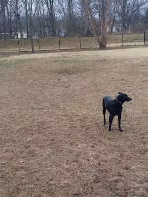 College Park Dog Park (Members Only) - College Park, MD