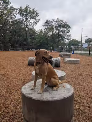 Hollywood Dog Park - College Park, MD