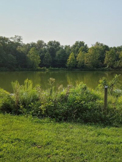 Lake Artemesia Natural Area - College Park, MD