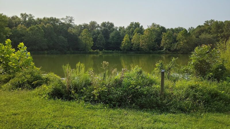 Lake Artemesia Natural Area - College Park, MD