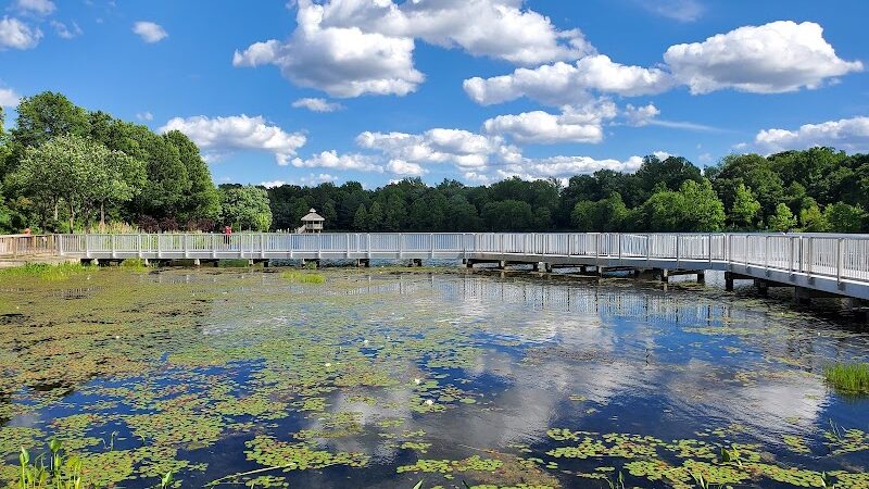 Lake Artemesia Natural Area - College Park, MD