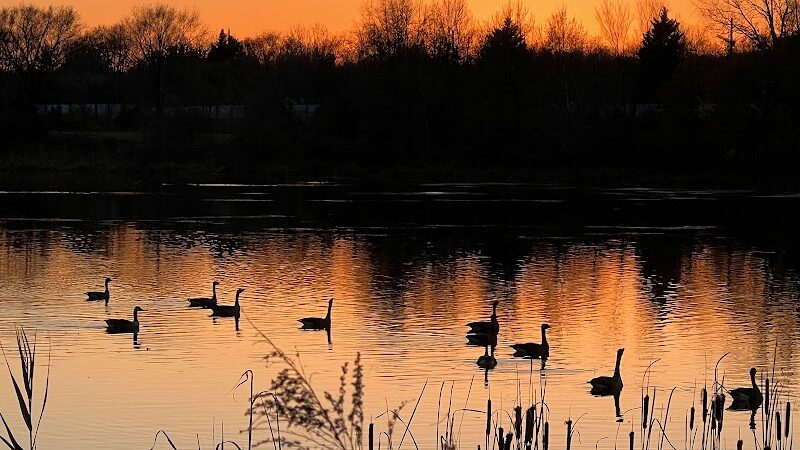 Lake Artemesia Natural Area - College Park, MD