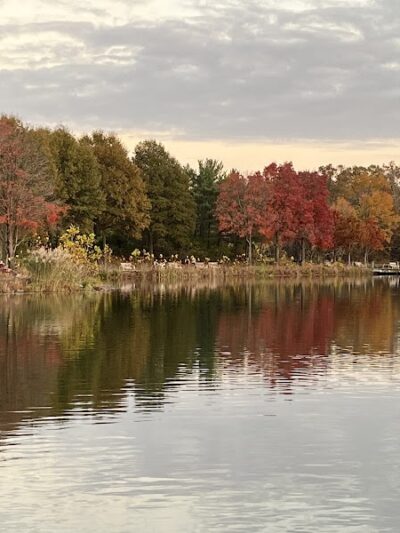 Lake Artemesia Natural Area - College Park, MD
