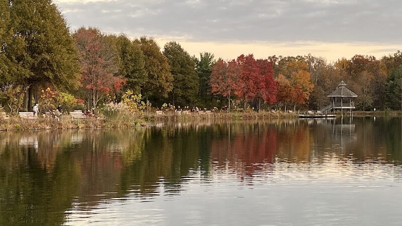 Lake Artemesia Natural Area - College Park, MD