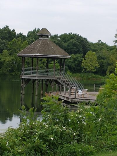 Lake Artemesia Natural Area - College Park, MD
