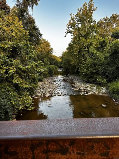Lake Artemesia Natural Area - College Park, MD