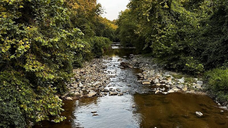 Lake Artemesia Natural Area - College Park, MD