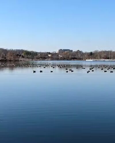 Lake Artemesia Natural Area - College Park, MD