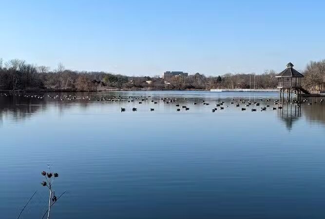 Lake Artemesia Natural Area - College Park, MD