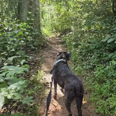 Evansburg State Park - Collegeville, PA