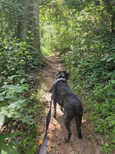 Evansburg State Park - Collegeville, PA