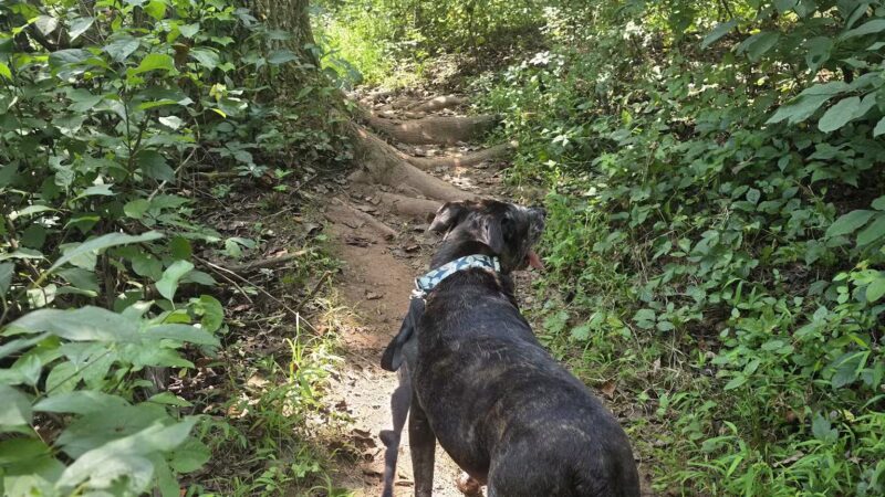 Evansburg State Park - Collegeville, PA