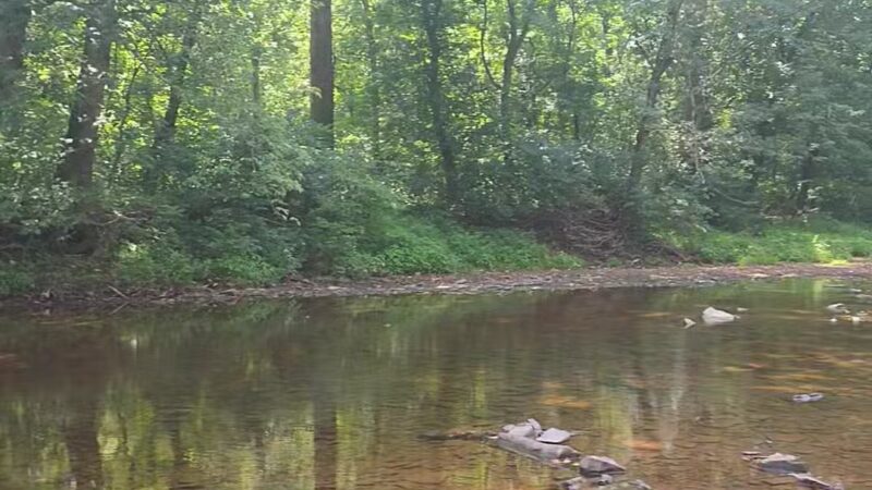 Evansburg State Park - Collegeville, PA