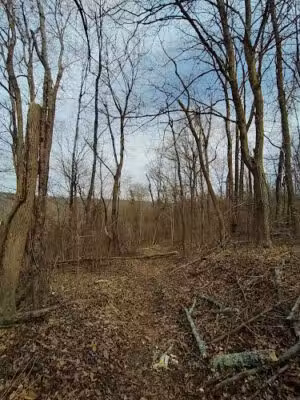 Evansburg State Park - Collegeville, PA