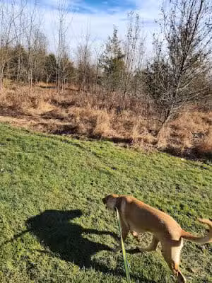 Heebner Park - Collegeville, PA
