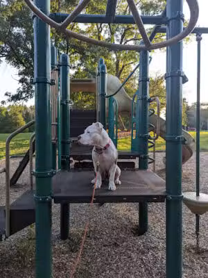 Palmer Park - Collegeville, PA