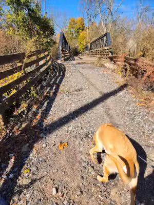 Skippack Creek Loop Hike - Collegeville, PA