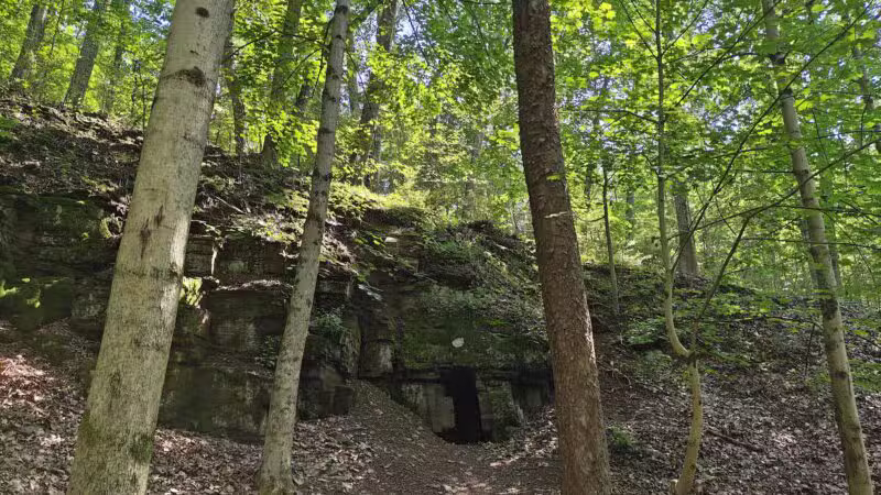 Skippack Creek Loop Hike - Collegeville, PA
