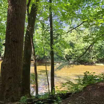 Skippack Creek Loop Hike - Collegeville, PA