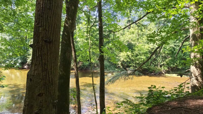 Skippack Creek Loop Hike - Collegeville, PA