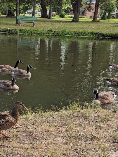 Knight Park - Collingswood, NJ