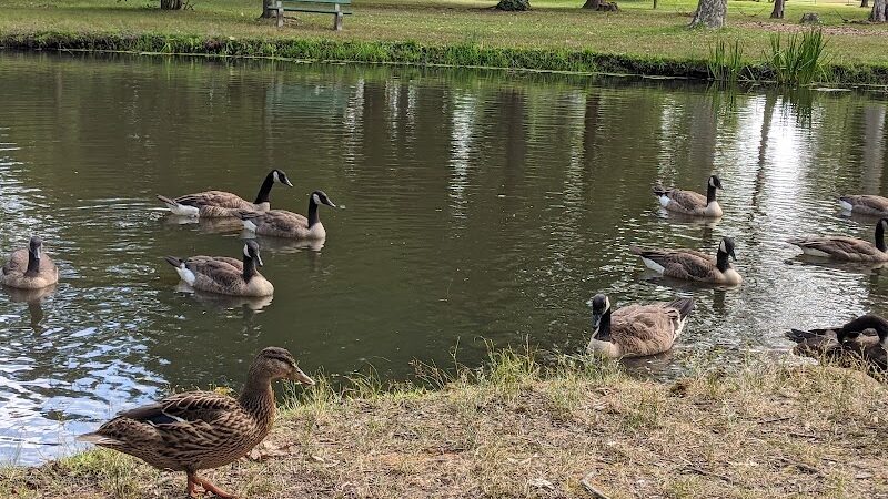 Knight Park - Collingswood, NJ