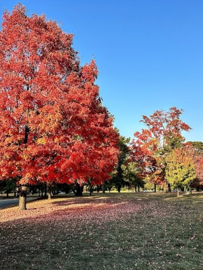 Knight Park - Collingswood, NJ