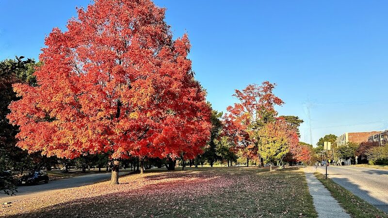 Knight Park - Collingswood, NJ