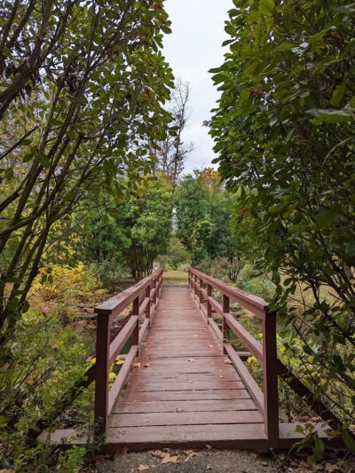 Knight Park - Collingswood, NJ