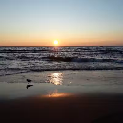 Hagar Park/Beach - Coloma,