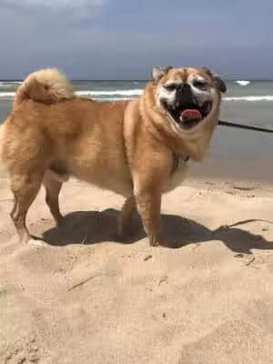 Hagar Park/Beach - Coloma,