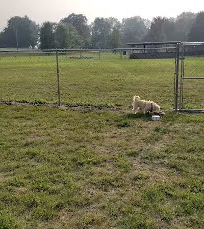 Momany Park Family Park - Coloma,