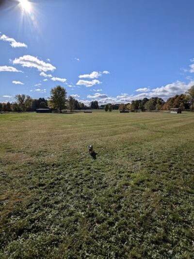 Momany Park Family Park - Coloma,