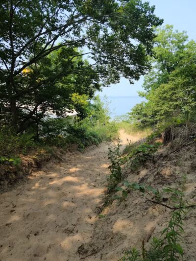 Roadside Park - Coloma,