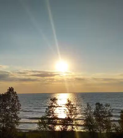 Roadside Park - Coloma,