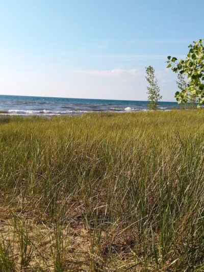 Roadside Park - Coloma,