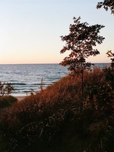 Roadside Park - Coloma,