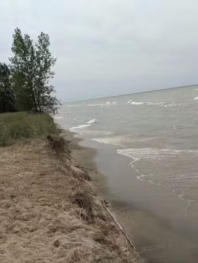 Roadside Park - Coloma,