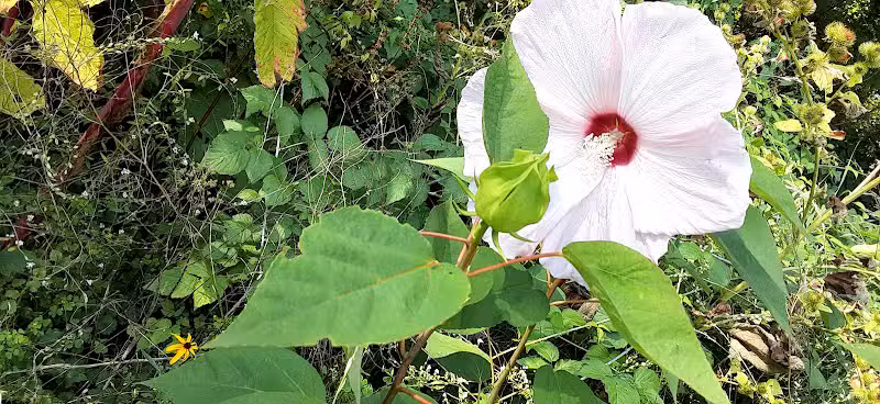 Colon Community Park - Colon,