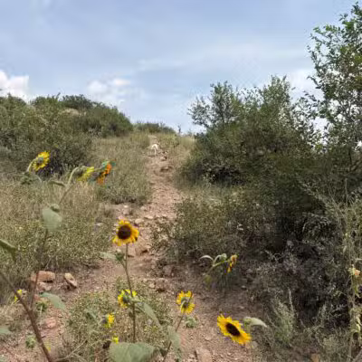 Bear Creek Dog Park - Colorado Springs, CO