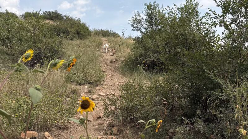 Bear Creek Dog Park - Colorado Springs, CO