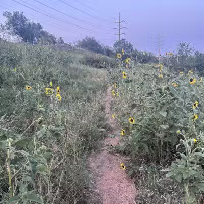 Bear Creek Dog Park - Colorado Springs, CO