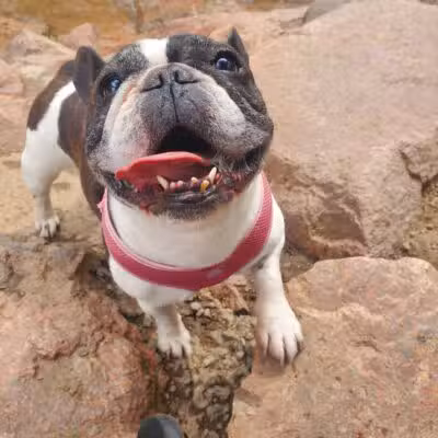 Bear Creek Dog Park Entrance - Colorado Springs, CO