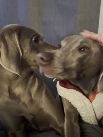 Bear Creek Dog Park Entrance - Colorado Springs, CO